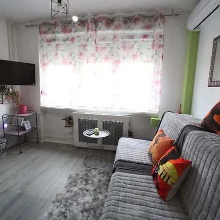 Miljana Apartman - Stan Na Dan 아파트